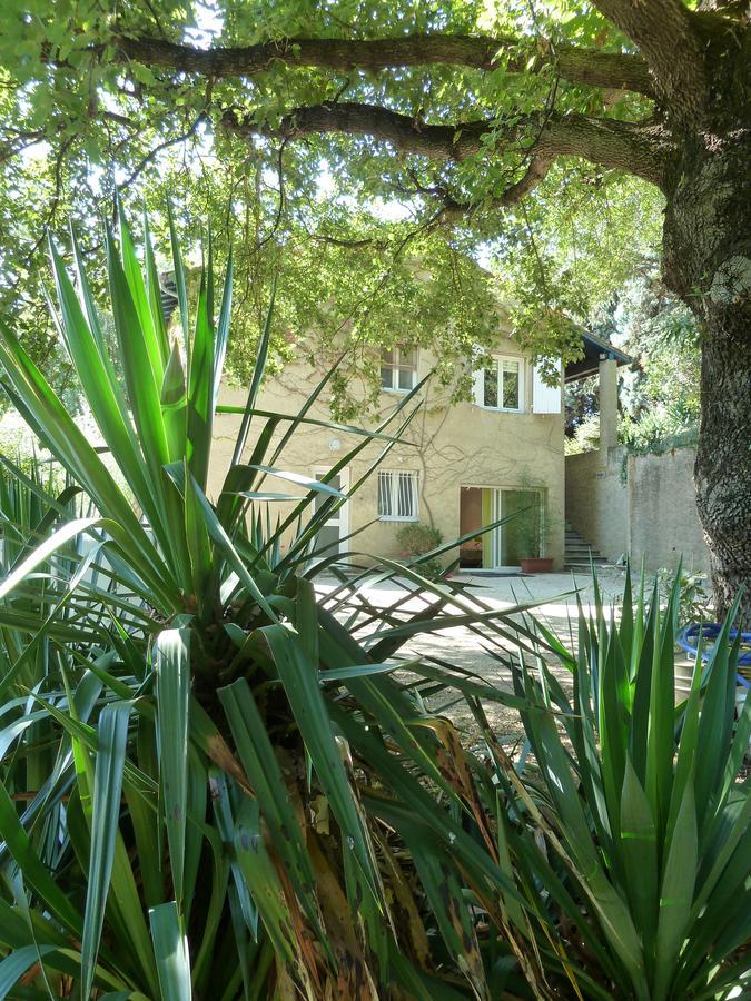 Bed and Breakfast Kergio Saint-Uze Exterior foto